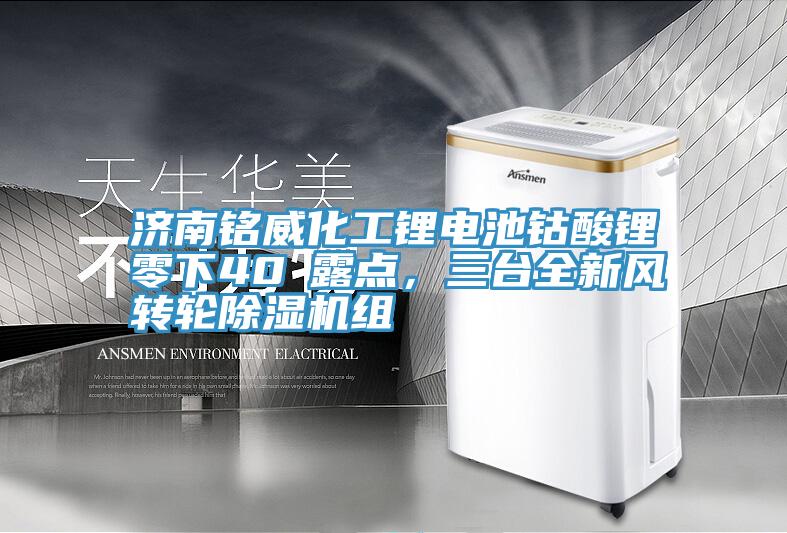 濟南銘威化工鋰電池鈷酸鋰零下40℃露點，三臺全新風轉(zhuǎn)輪除濕機組