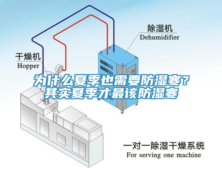 為什么夏季也需要防濕寒？其實夏季才最該防濕寒