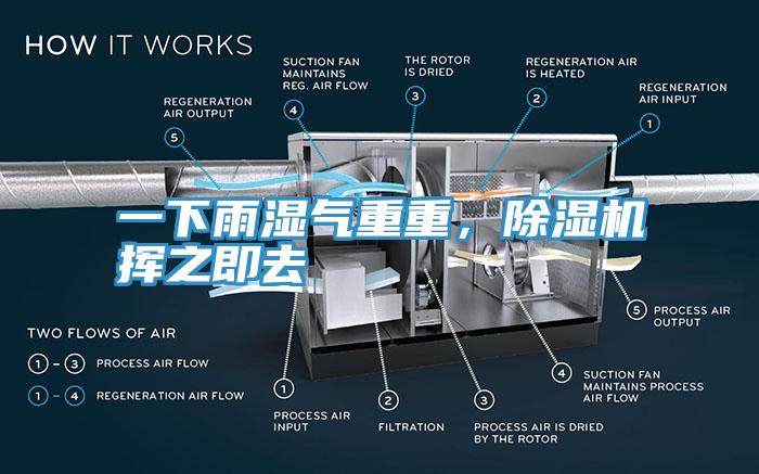 一下雨濕氣重重，除濕機揮之即去