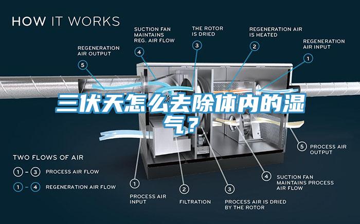 三伏天怎么去除體內(nèi)的濕氣？