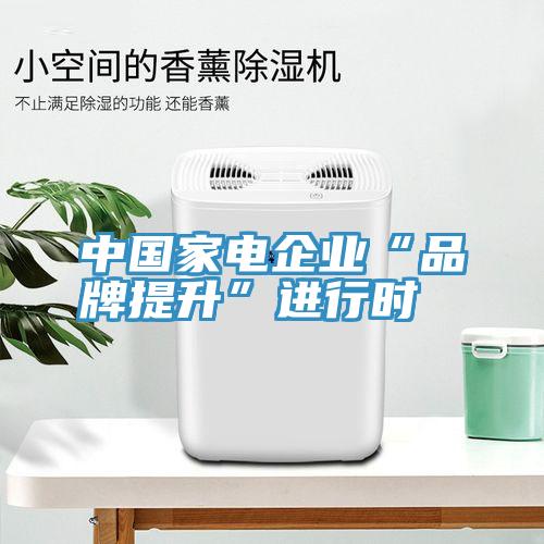 中國家電企業(yè)“品牌提升”進行時