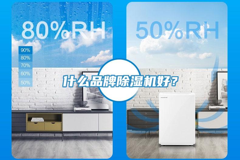 什么品牌除濕機(jī)好？