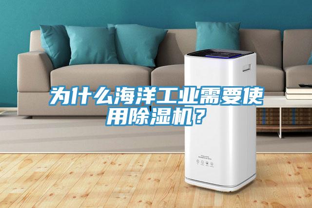 為什么海洋工業(yè)需要使用除濕機(jī)？