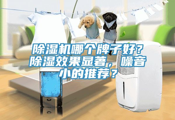 除濕機(jī)哪個(gè)牌子好？除濕效果顯著，噪音小的推薦？