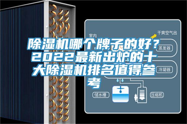 除濕機(jī)哪個(gè)牌子的好？2022最新出爐的十大除濕機(jī)排名值得參考