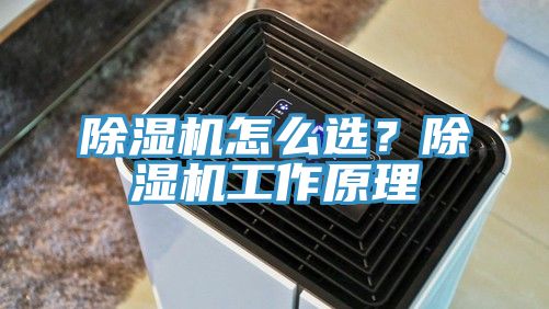 除濕機怎么選？除濕機工作原理