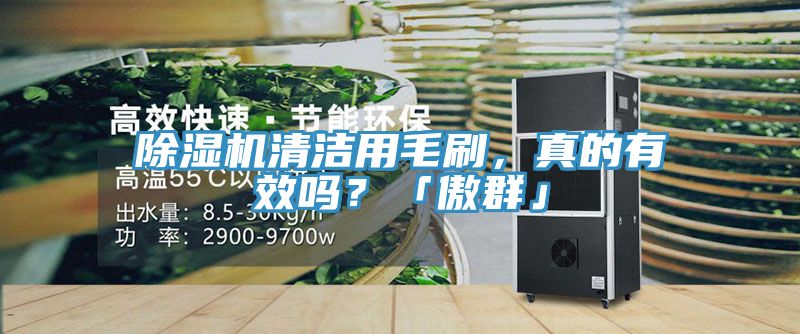 除濕機(jī)清潔用毛刷，真的有效嗎？「傲群」