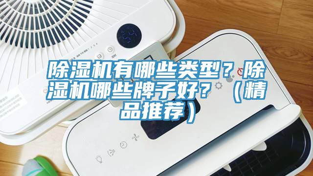 除濕機有哪些類型？除濕機哪些牌子好？（精品推薦）