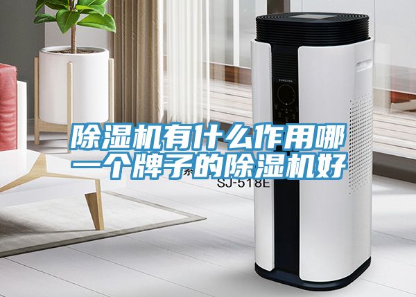 除濕機有什么作用哪一個牌子的除濕機好