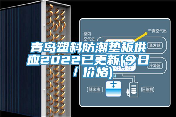 青島塑料防潮墊板供應(yīng)2022已更新(今日／價格)