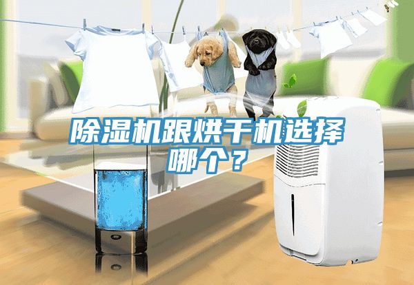 除濕機跟烘干機選擇哪個？