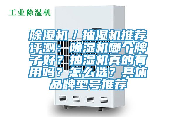 除濕機／抽濕機推薦評測：除濕機哪個牌子好？抽濕機真的有用嗎？怎么選？具體品牌型號推薦