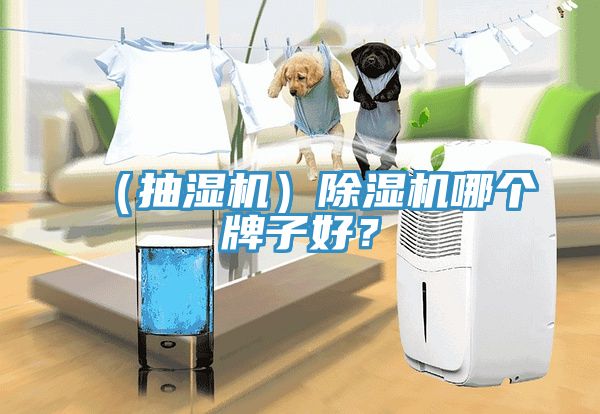 （抽濕機）除濕機哪個牌子好？