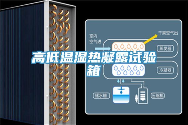 高低溫濕熱凝露試驗(yàn)箱