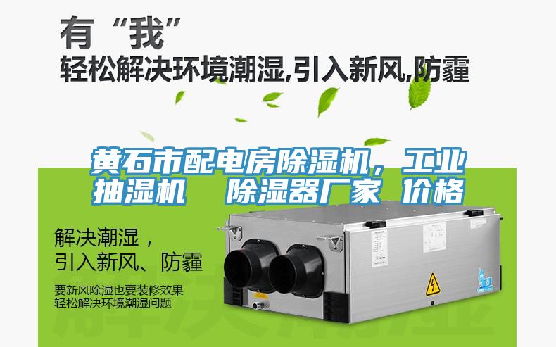 黃石市配電房除濕機，工業(yè)抽濕機  除濕器廠家 價格