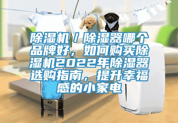 除濕機／除濕器哪個品牌好，如何購買除濕機2022年除濕器選購指南，提升幸福感的小家電